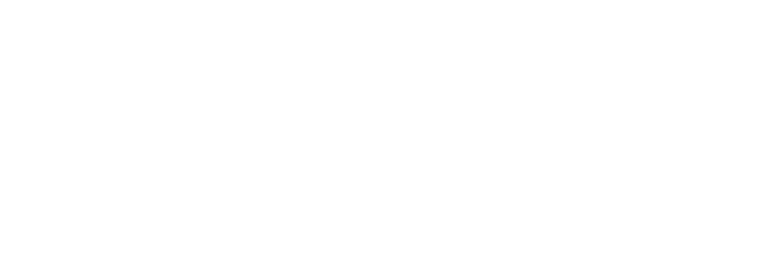 spinight casino logo